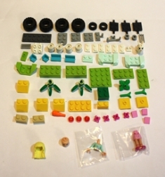 393505.jpg