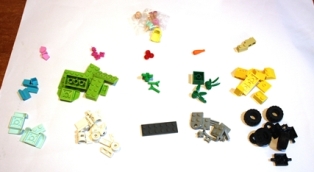 393506.jpg