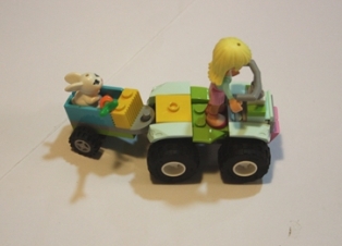393513.jpg