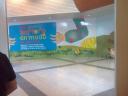 imagen0714.jpg