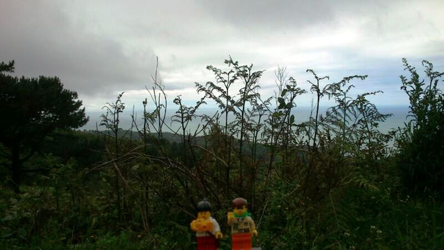 img-20130609-wa0012.jpg