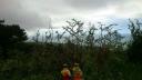 img-20130609-wa0012.jpg