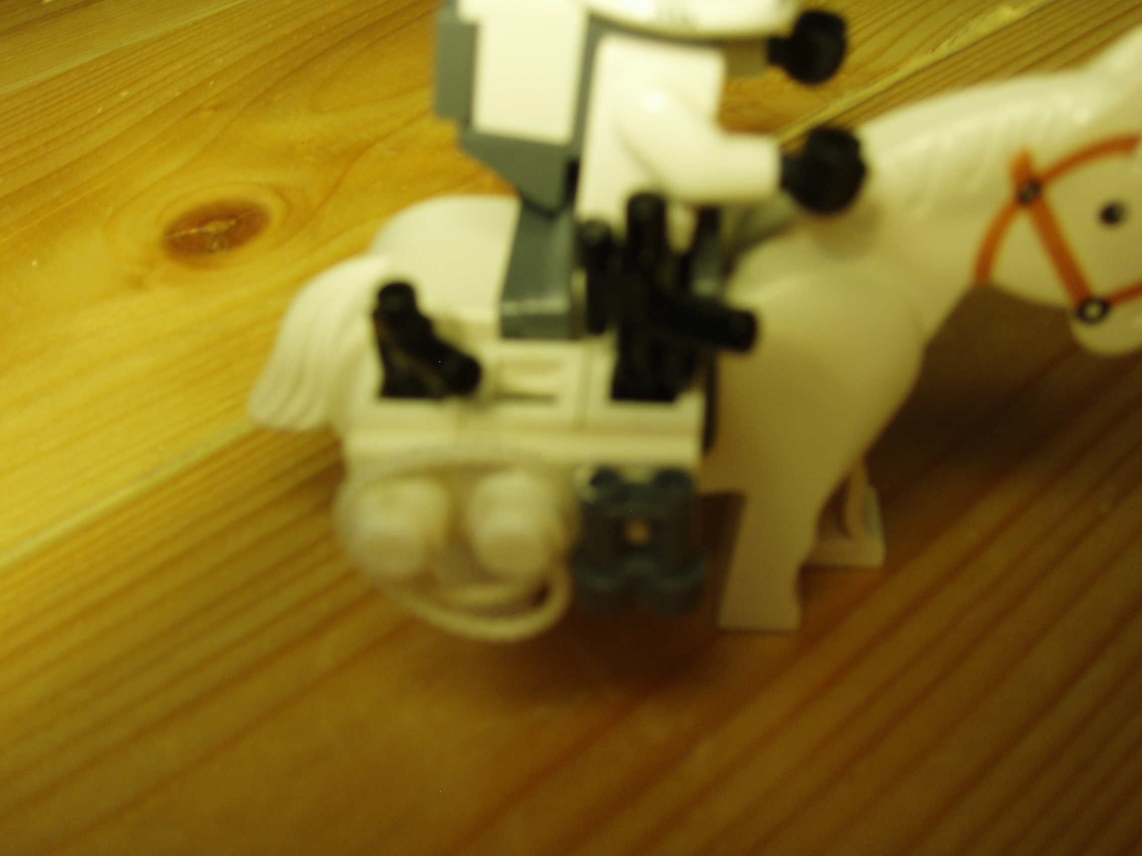 pa210027.jpg