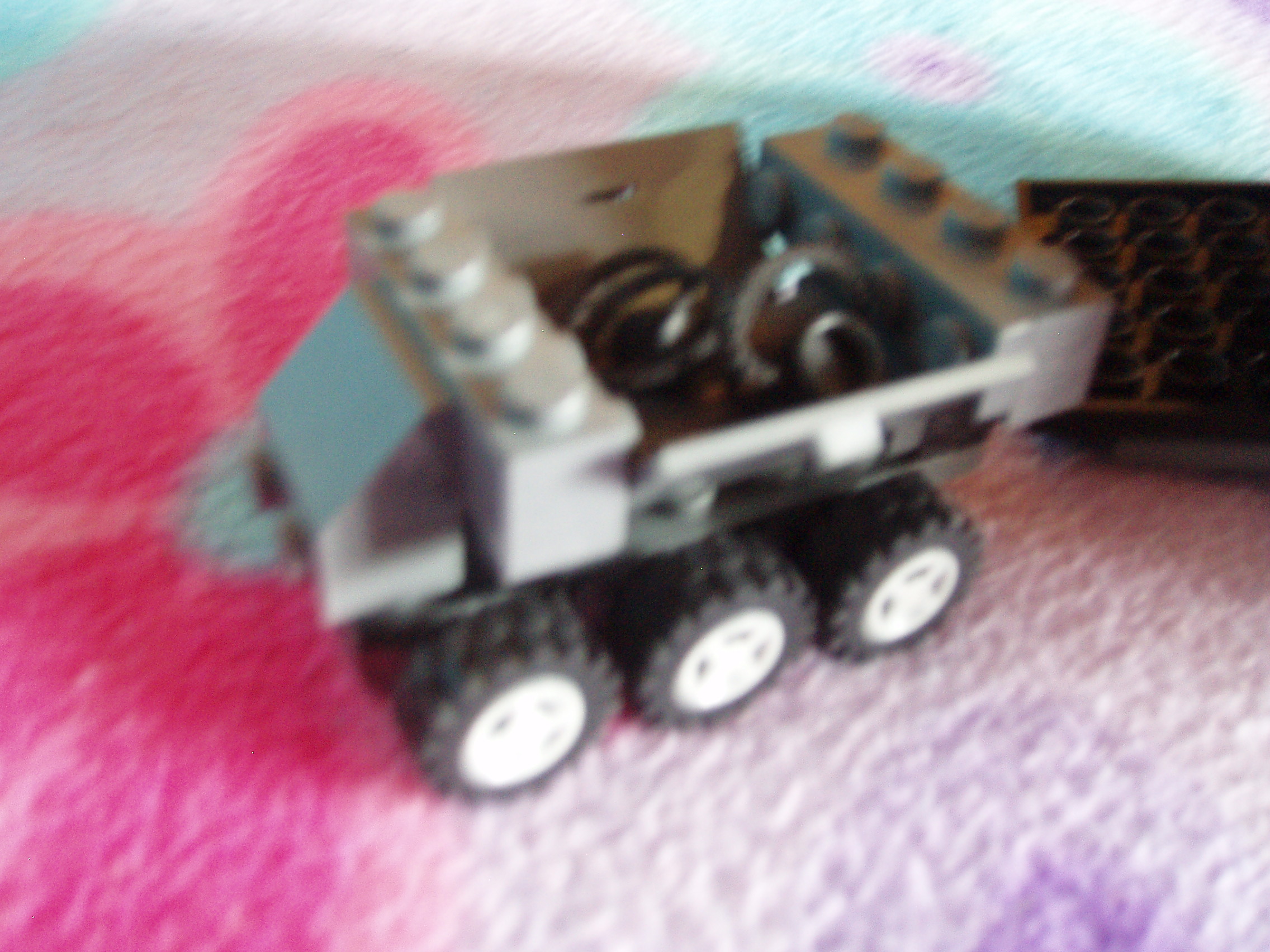 p5020116.jpg