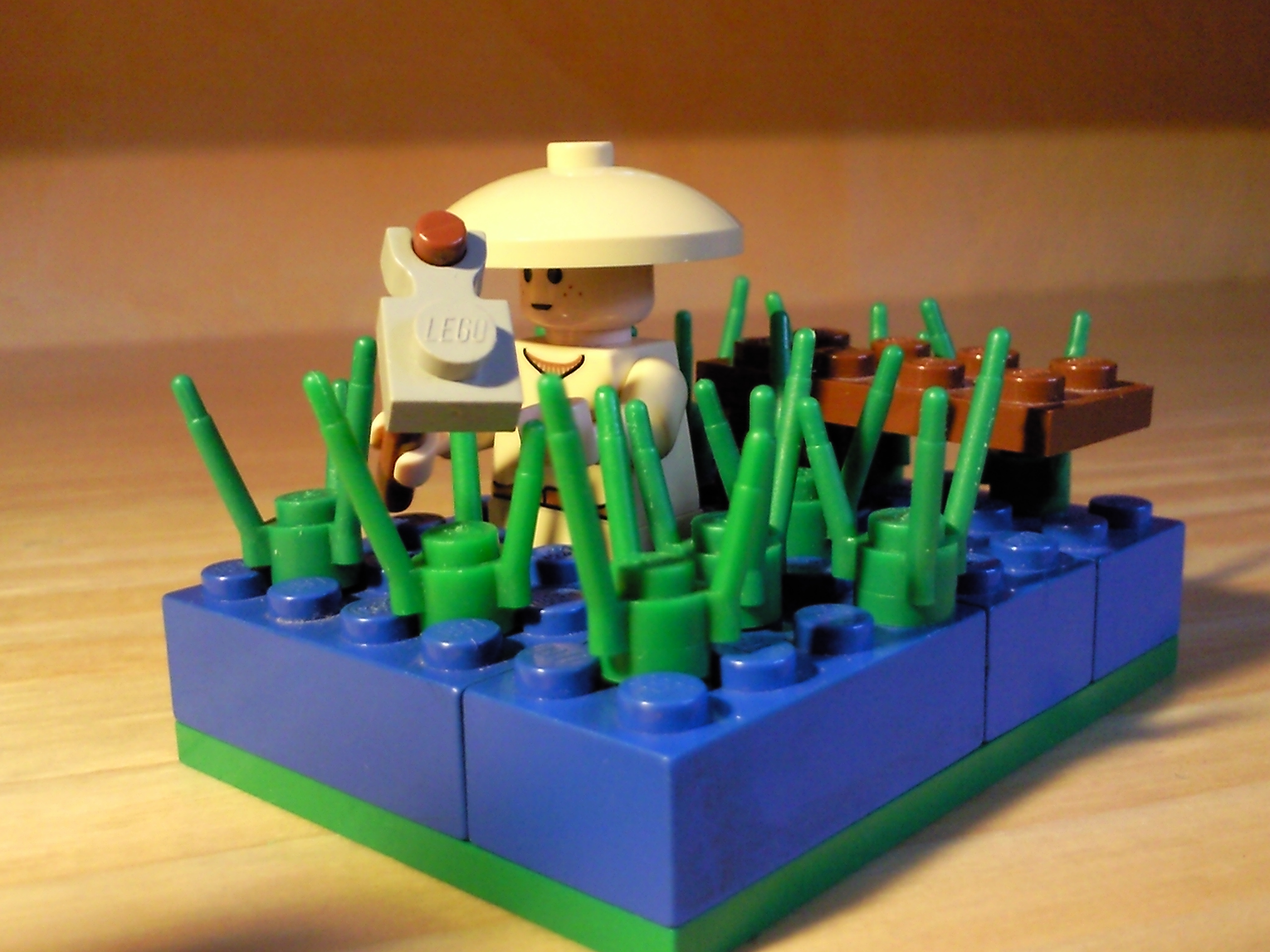 vietnam6.jpg