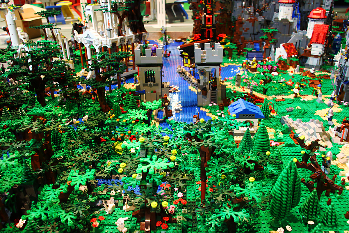 bfc_forest_005.jpg