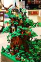 bfc_forest_001.jpg