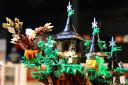 bfc_forest_002.jpg
