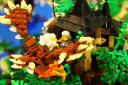 bfc_forest_003.jpg