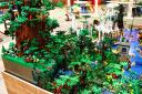 bfc_forest_004.jpg