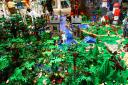 bfc_forest_005.jpg