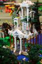 bfc_forest_006.jpg