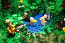 bfc_forest_008.jpg