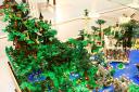 bfc_forest_010.jpg