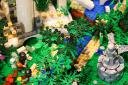 bfc_forest_013.jpg