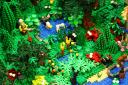 bfc_forest_015.jpg