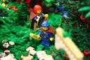 bfc_forest_016.jpg