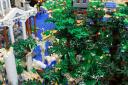 bfc_forest_017.jpg