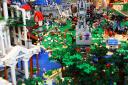 bfc_forest_019.jpg