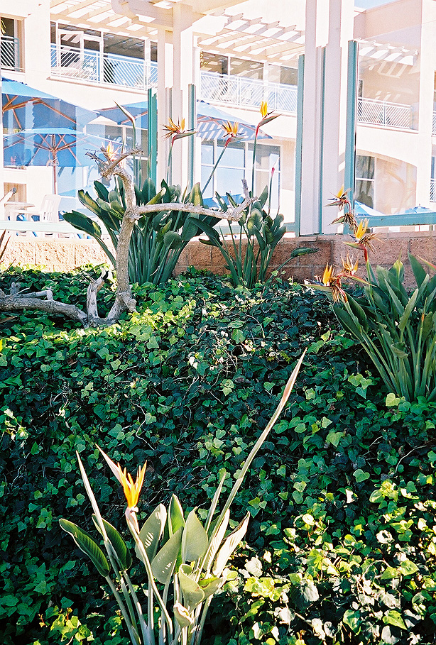 hotel03.jpg