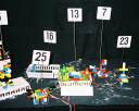 entries04.jpg