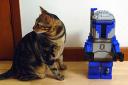 jango06.jpg