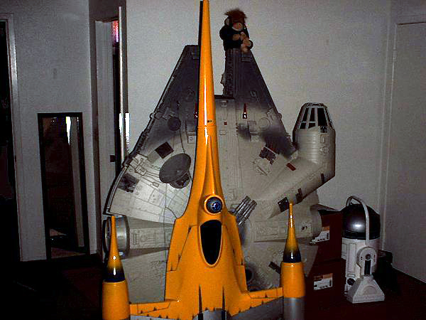 falcon02.jpg