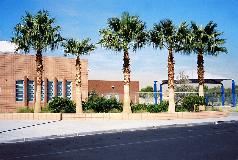 school02.jpg