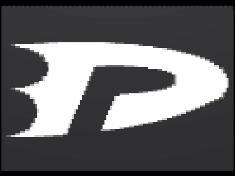 dp01.jpg