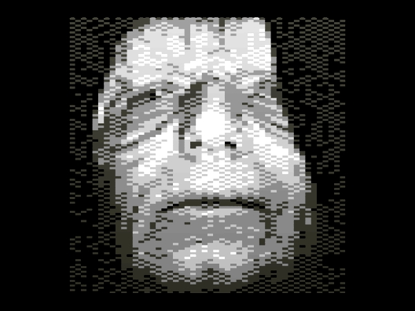 palp.jpg
