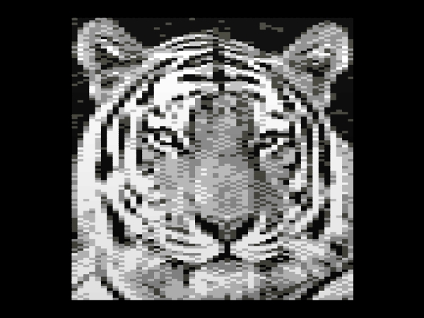 tiger.jpg