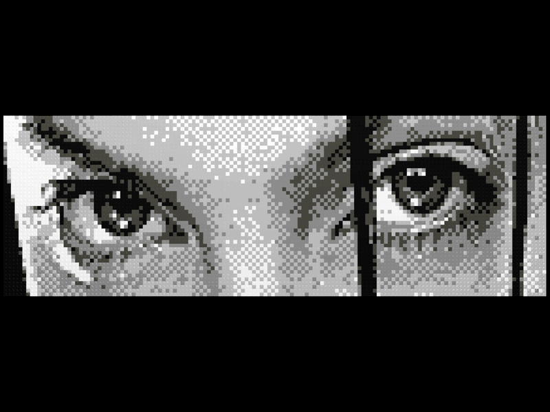 eyes48x144a.jpg