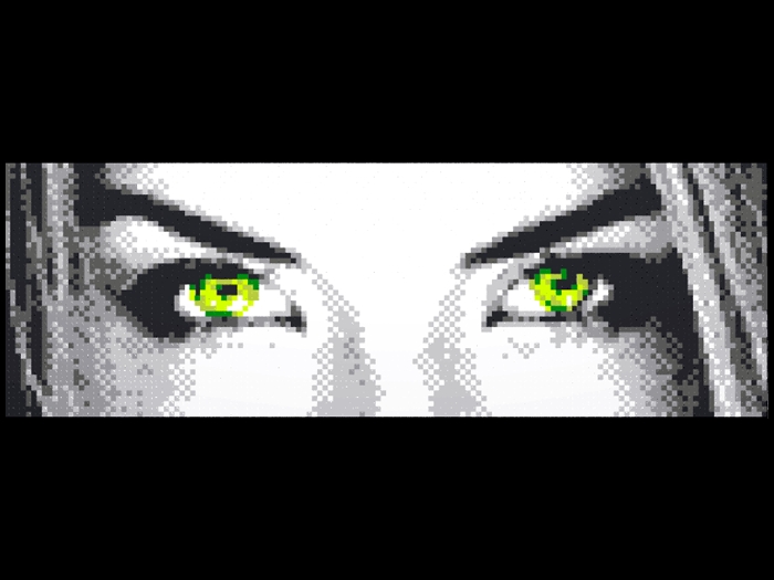 eyes48x144b.jpg