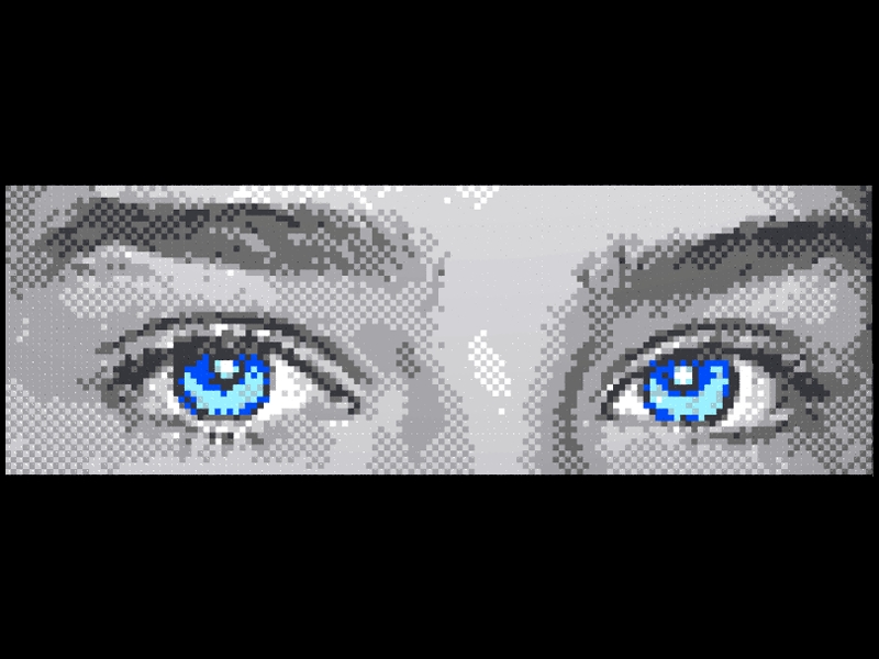 eyes48x144d.jpg
