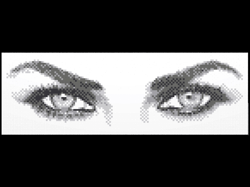 eyes48x144f.jpg