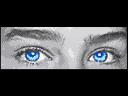 eyes48x144d.jpg