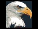 eagle96x96a.jpg