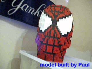 spider5.jpg
