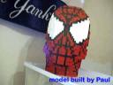 spider5.jpg