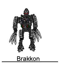 brakkon.jpg
