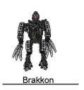 brakkon.jpg