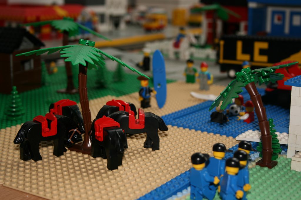 img_0566-web.jpg