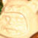 ewok.jpg