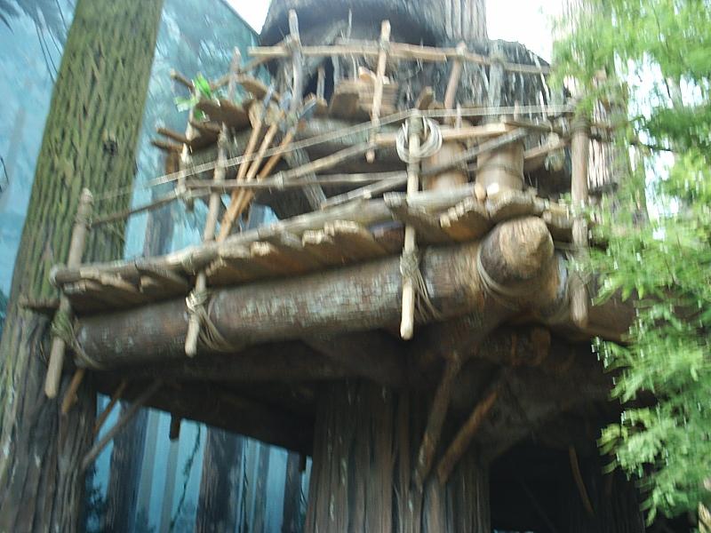 s2010098.jpg