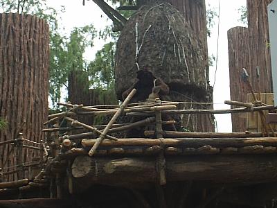 s2010121.jpg