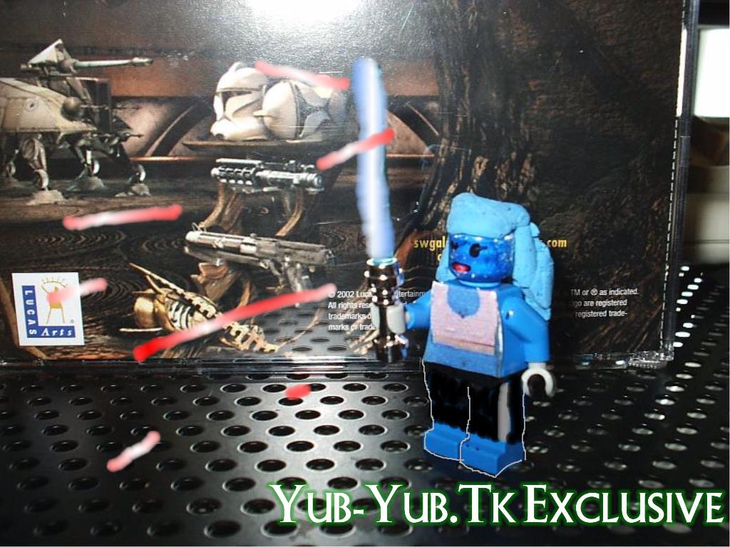 aayla.jpg