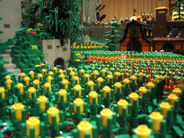 20_rene_field.jpg