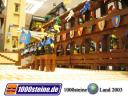 1000steineland