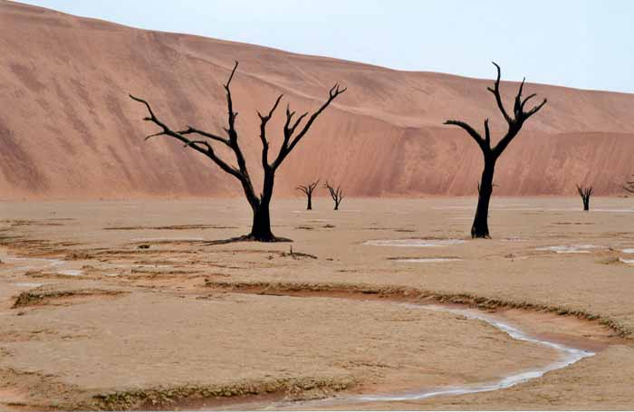 42_dead_vlei.jpg