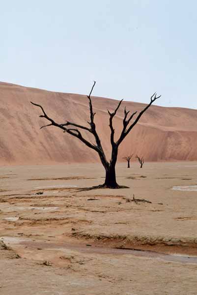 43_dead_vlei.jpg